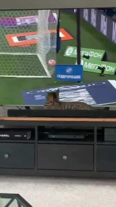 Get the heart racing