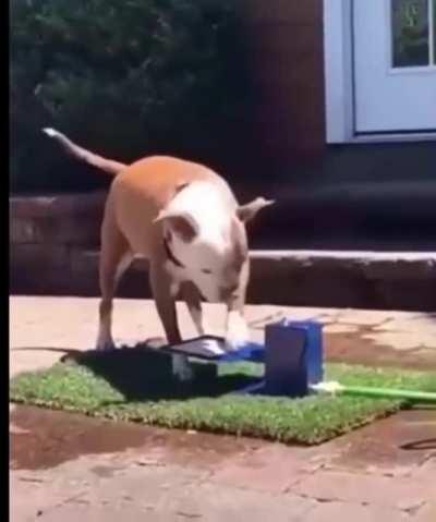 to catch water