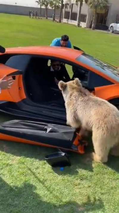 He just broke a Lamborghini's Door