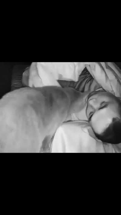 Every morning at 5 AM