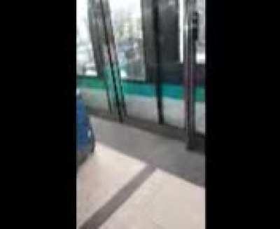 The trains in Paris look very similar to the trains in NYC