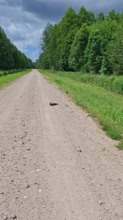 🔥 Man triggers critter alarm 🔥