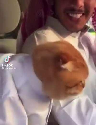 The little thobe tho