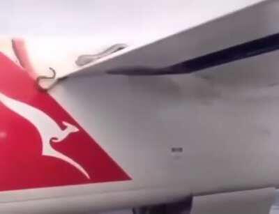 Snakes inside the Airplane Engine!