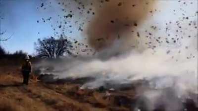 Cameraman capturing the nature's black magic