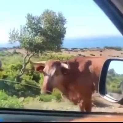 Si quieres ir a la playa de Bolonia en Tarifa, siempre habrá amables lugareños que te indicarán como llegar