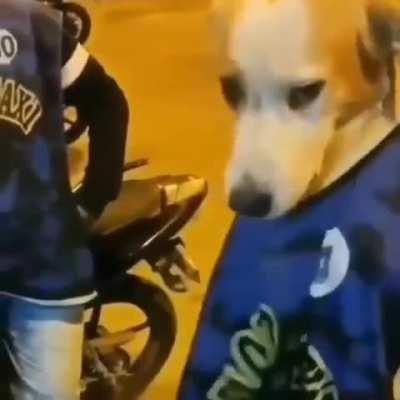 Vai trampar p nao acabar igual o babidas