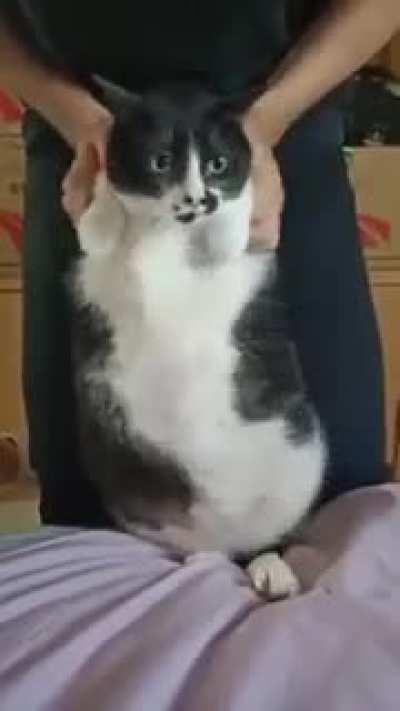 Getting out of quarantine