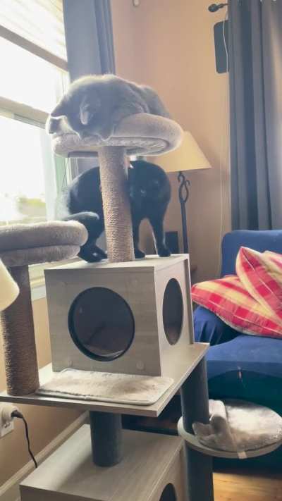 So smart, so graceful.