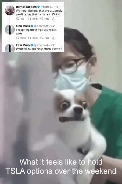 Just sign out Elon, pls