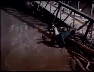 Trying to grab a beaver 🦫