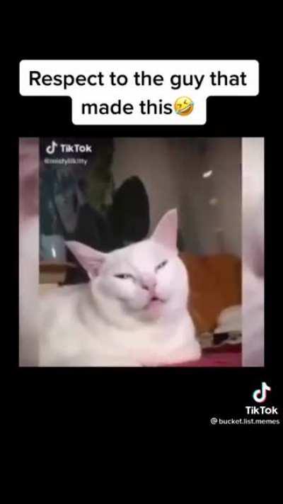 Never gonna give you up