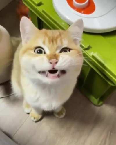 Чем-то взволнован