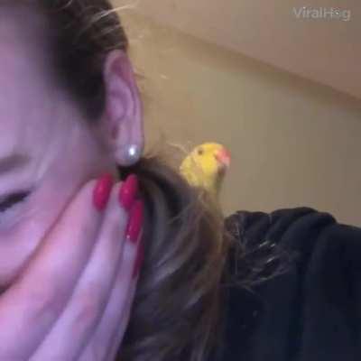 Twickee twickee twickee!