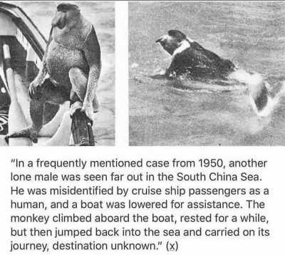 Female singer (language unknown) with string instruments, may be from a video game?