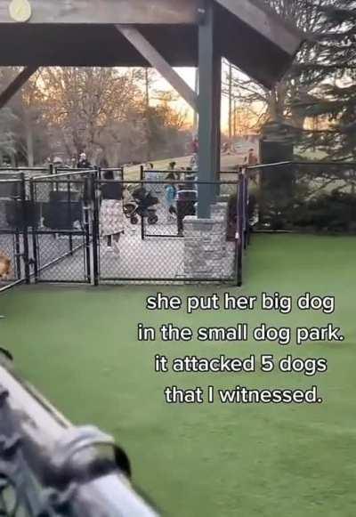 Taking your poorly trained large dog to a small dog park 