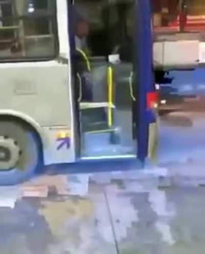 This stray dog waits every day for the bus man to give him a cookie.