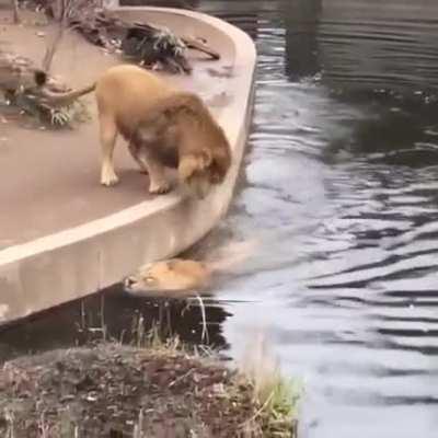 That universal feeling of terror when you skip a step accidentally