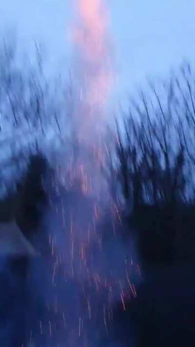 Hoopy the Hound is dead