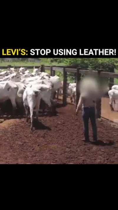 Avoid using leather as much as you can This is really insane