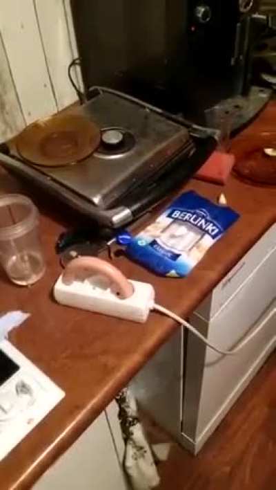 Polska myśl kulinarna