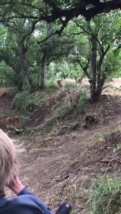 Badgers gonna badger