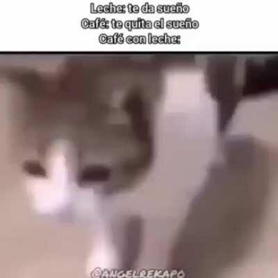 Nombre de la canción Brain Power