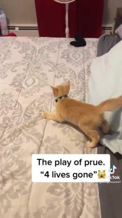 She took 4 of his nine lives