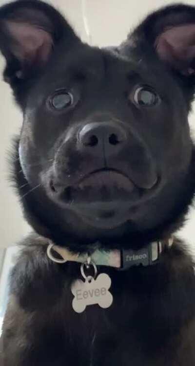 ‘I’m sorry I have to do this...’