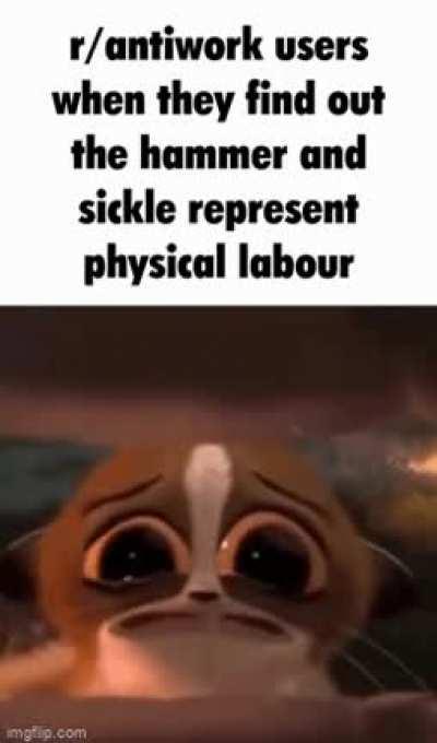 Who's gonna tell them