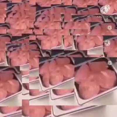 The salami lid legion(volume warning)