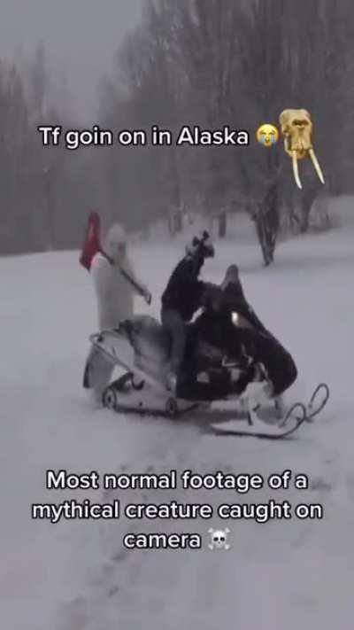 this is why nobody lives in alaska