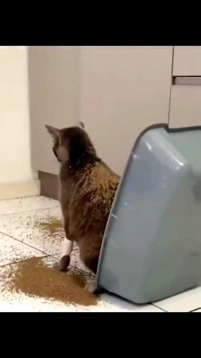 I can feel the regret 😭