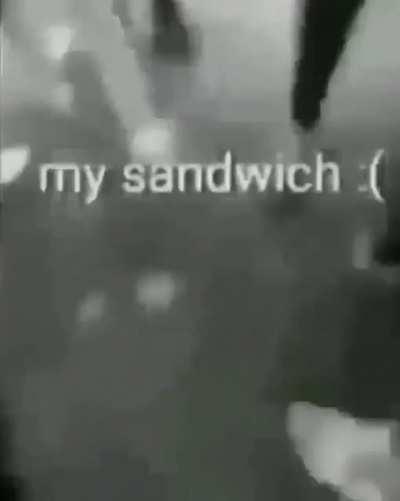 Blursed_nooooooo your sandwich no