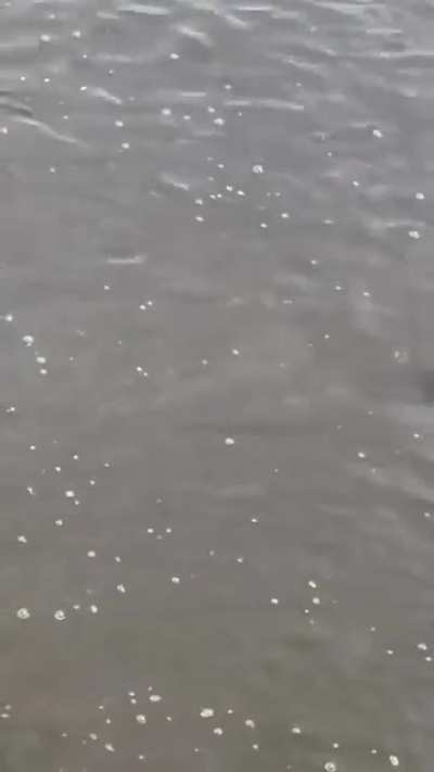 Mom's just risk it all...