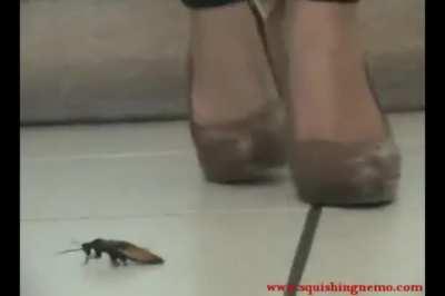 Roach's quick demise