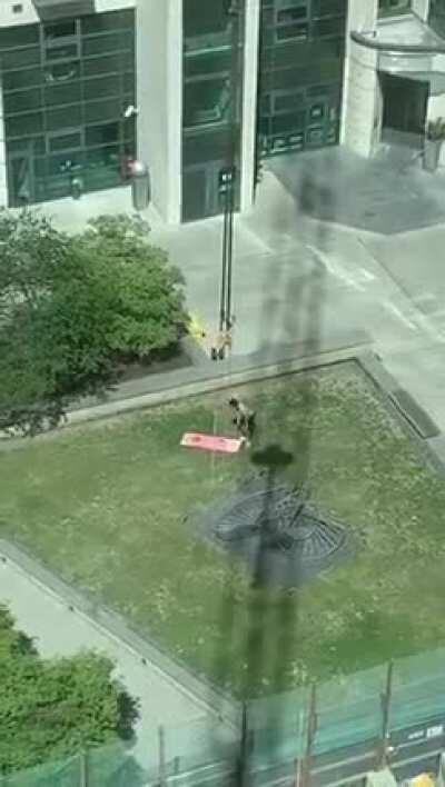 Level of pettiness: extra petty