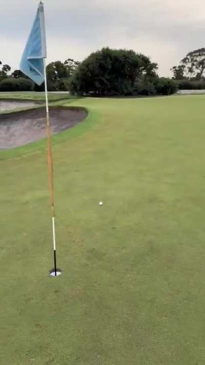 Once in a lifetime shot 😎