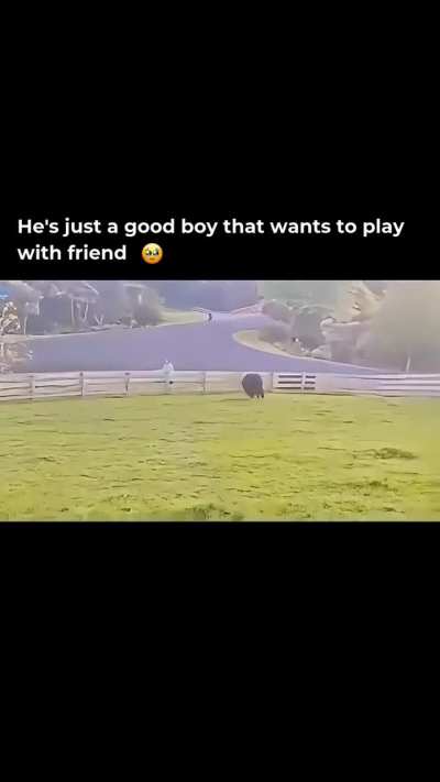 No Words, Just Pure Connection