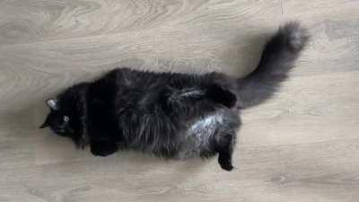 The way her belly squeezes when she trills