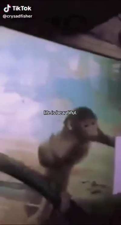 don't worry about the 14th