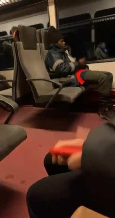 Man masturbating in train