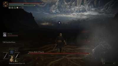 Malenia, 14 second kill, SL 150