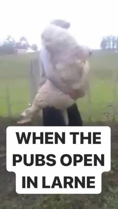 Let’s all laugh at Larne