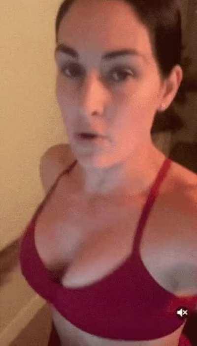 Nikki Bella's Big Breasts