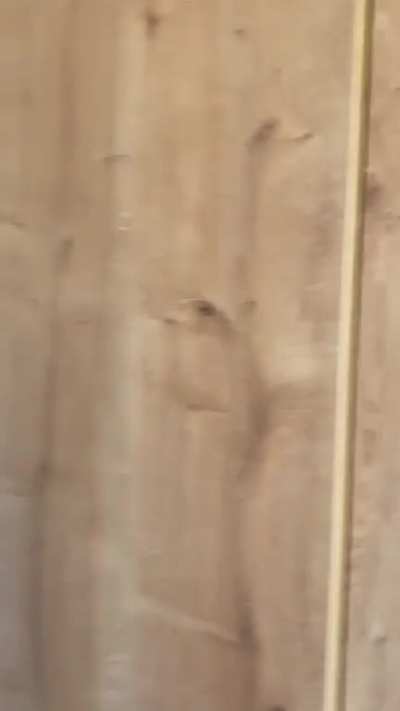 Kısa ve öz ev turu