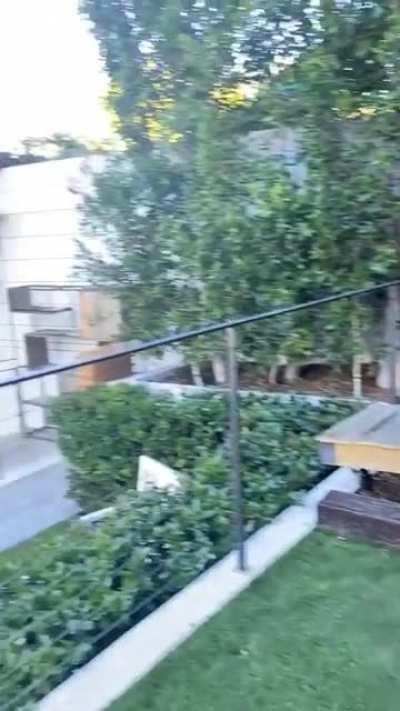 Cassie Lee is my fav Australian Pro Wrestler