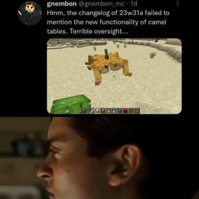 Caught this Mojang developer lacking XD. Sand layers when???