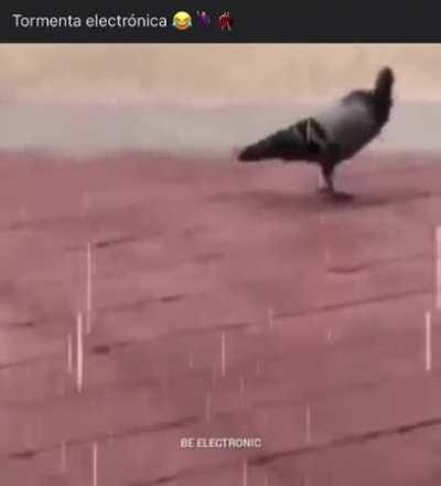 Para una buena. Intro XD