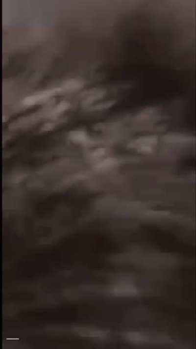 Leaks Tele Link For $10 Message me Or Add Me On Snapchat: Z6X70